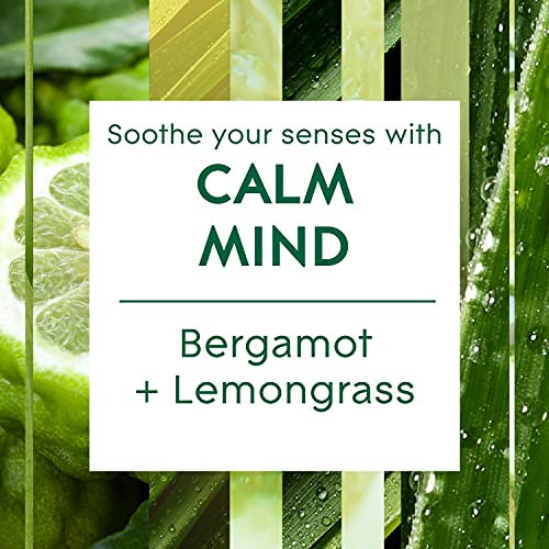 Glade Aromatherapy Candle, Home Decor Scented Calming Jar Candle, Up to 37 Hour Burn Time, Calm Mind with Italian Bergamot & Guatemalan Lemongrass, 260g - Image 3