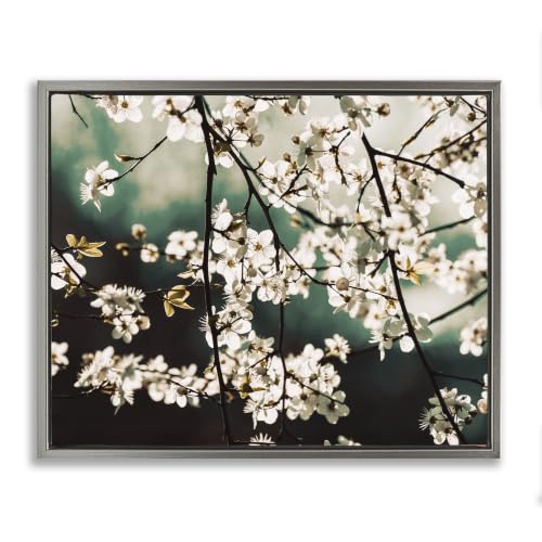 'Cherry Blossom Nature Photography'| Floating Frame Canvas Art