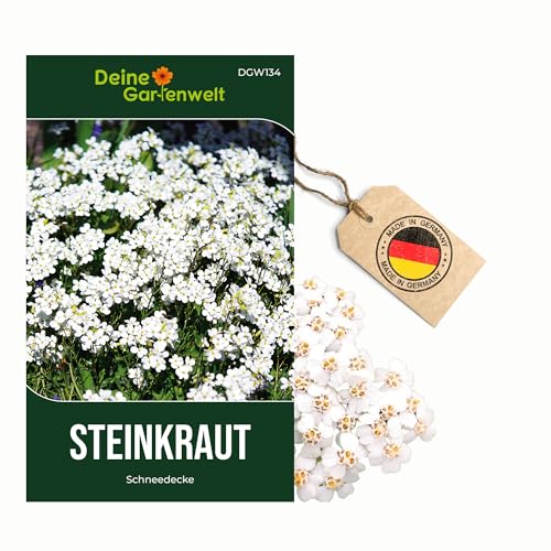 Steinkraut Duftsteinrich Schneedecke Samen - Lobularia maritima - Steinkrautsamen - Blumensamen - Saatgut für 250 Pflanzen Steinkraut Duftsteinrich Schneedecke Samen - Lobularia maritima - Steinkrautsamen - Blumensamen - Saatgut für 250 Pflanzen