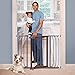 Summer by Ingenuity Anywhere Decorative Walk-Thru Pet and Baby Gate, 28