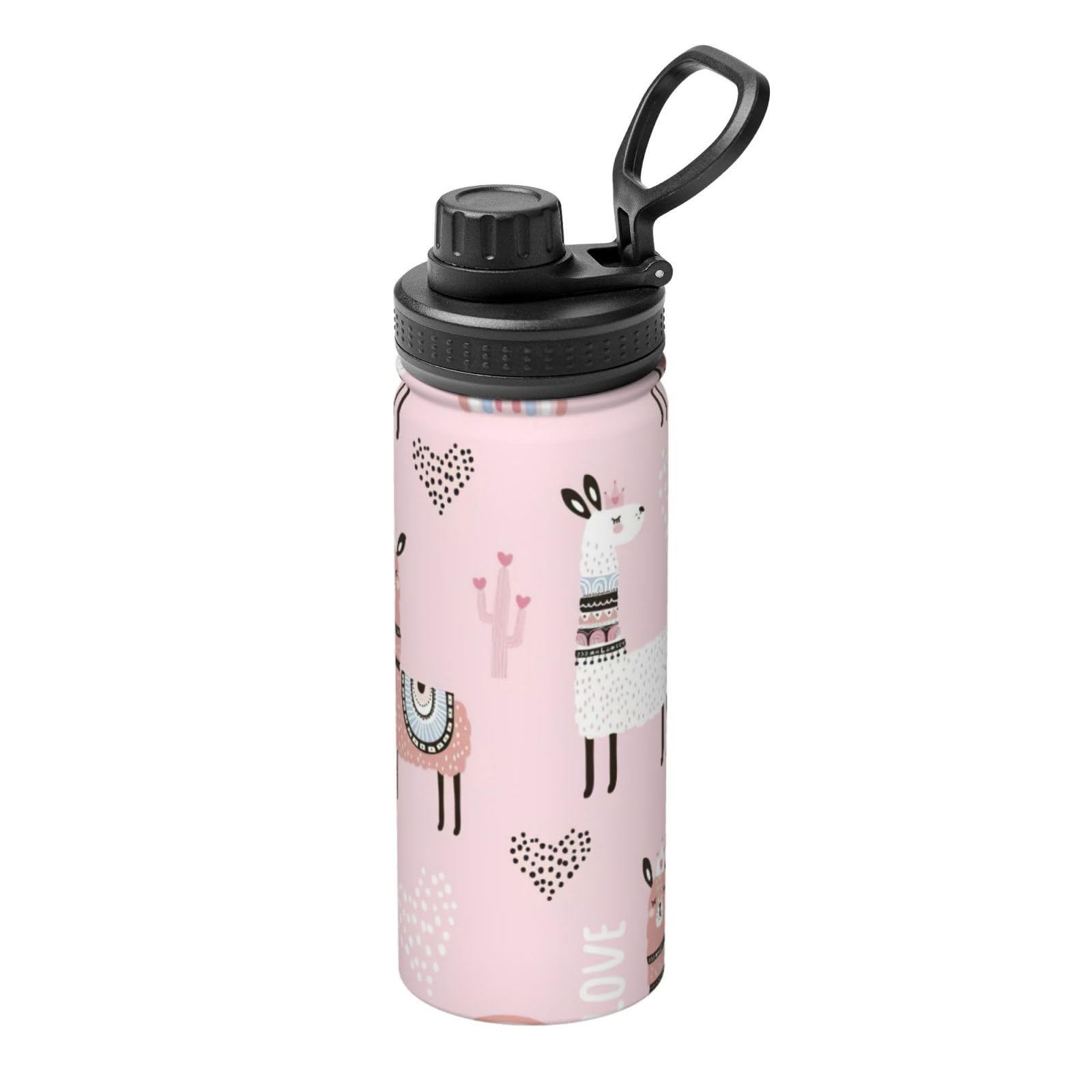 Bouteille eau isotherme acier inoxydable sport gym voyage 532ml