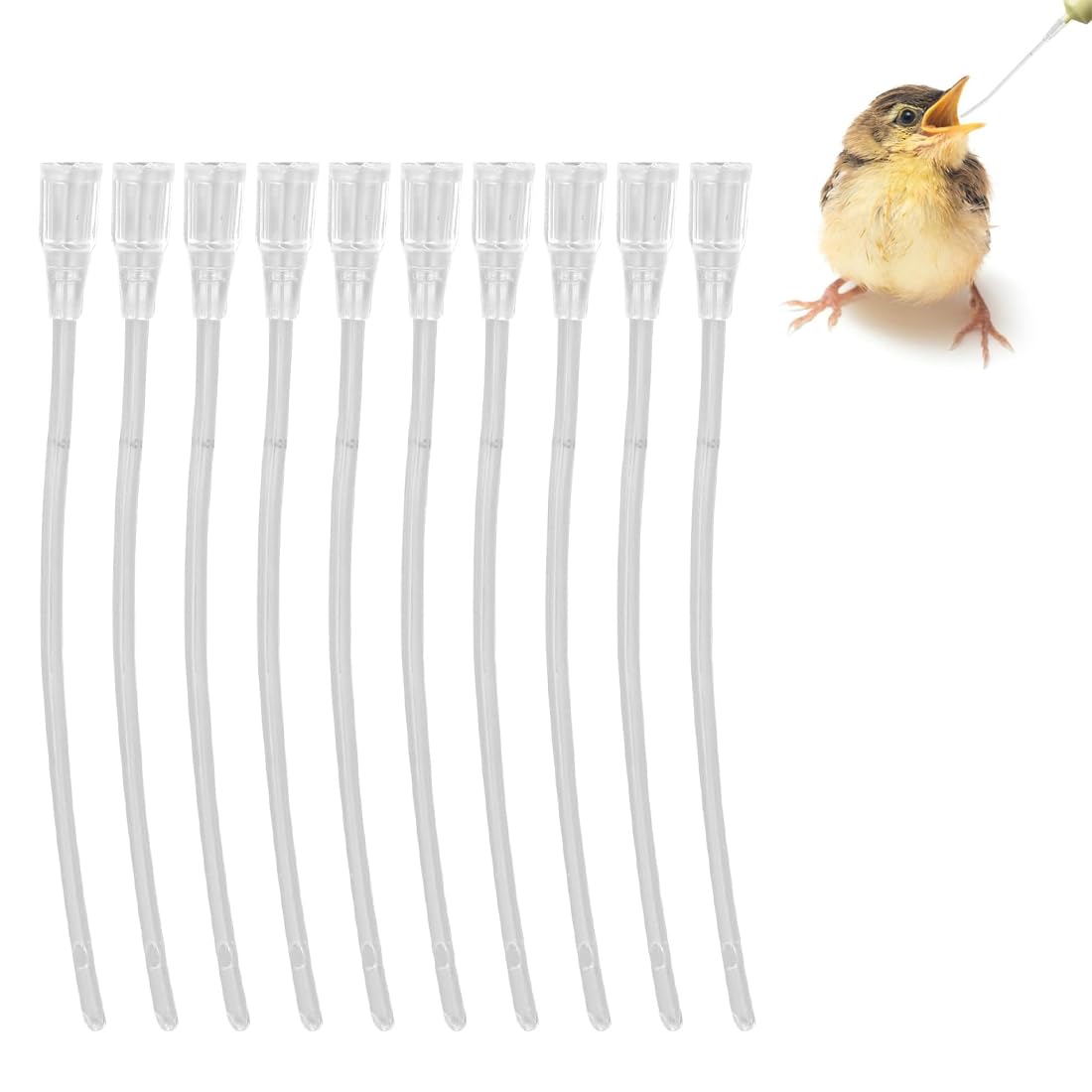 20 pezzi Alimentatore Pappagalli,Alimentatore Pappagalli Trasparente Uccelli Alimentazione Tubi Veloce Alimentazione Tubo per Bambino Pet Uccelli
