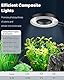 Pawfly 6 W LED Aquarium Licht für 3,8 L-38 L Aquarien Anklipsen Aquarium USB Mobil Aquarium Lampe mit Vollem Spektrum Dimmbar Weiß Blau Rot Grün Lichter mit Timer (Adapter nicht enthalten)