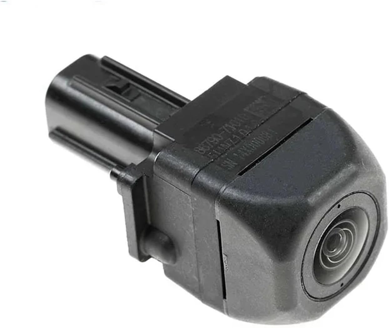 イランアガベ luminous （HACHILABO YATAGARASU） HACHILABO - A store