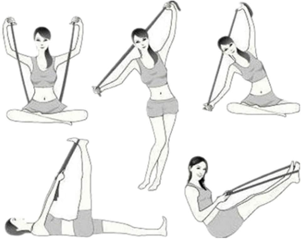 Yoga Stretch Strap Belt Flexibility Stretch Straps with 8 Loops - Ideal for Yoga, Dance, Physical Therapy Rehab, Stretching Fitness Workout : Sports & Outdoors