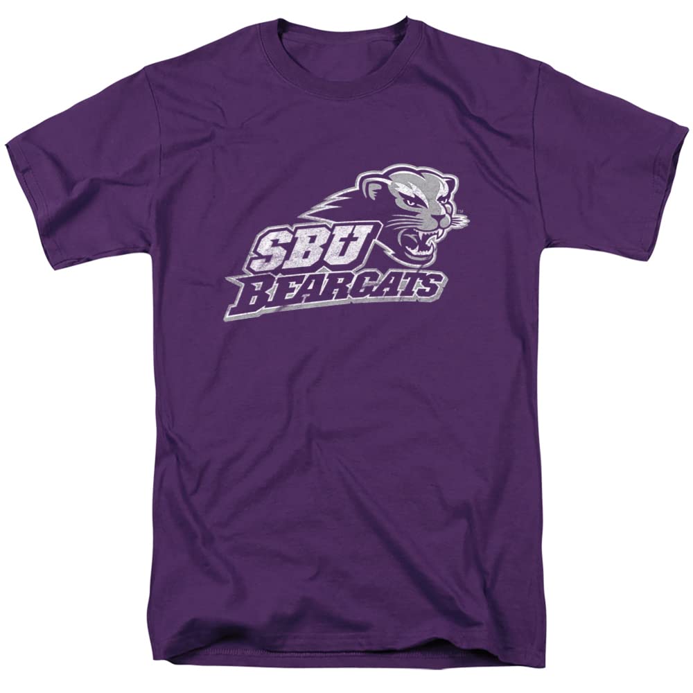 LOGOVISION Official Collegiate Distressed Primary Logo Adult T-Shirt Collection — view 11