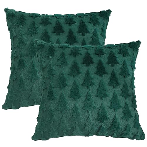 Tosleo 2 Stück Weihnachten Kissenbezüge 60 x 60cm Grün Doppelseitig...