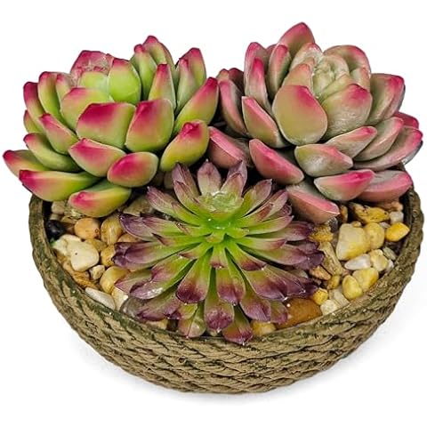 FOUSUKA Succulents Plants Artificial Real Touch EVA Fake Succulent Plants Round Potted Look Real for Home Decor Indoor Table Office Desk Living Room Bedroom Bathroom Shelf Decoration Cover