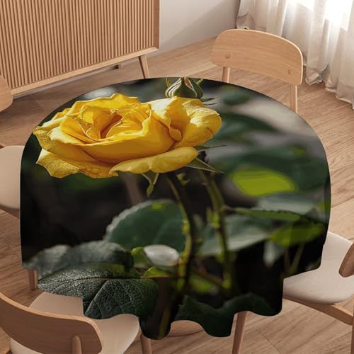 Nappe ronde 152 cm Growing imperméable et antitache pour table - 5