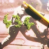 2. Aus Liebe zum Bass