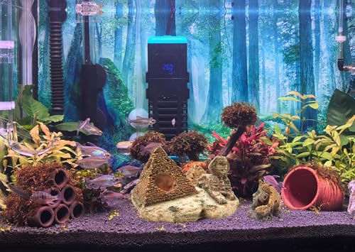Image of M2cbridge Aquarium Decor Castle Shipwreck Ornament Underwater Landscape(Egyptian Pyramid + Pharaoh)