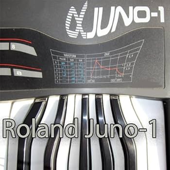 Amazon.co.jp: Roland D-50 - 大型オリジナルファクトリー