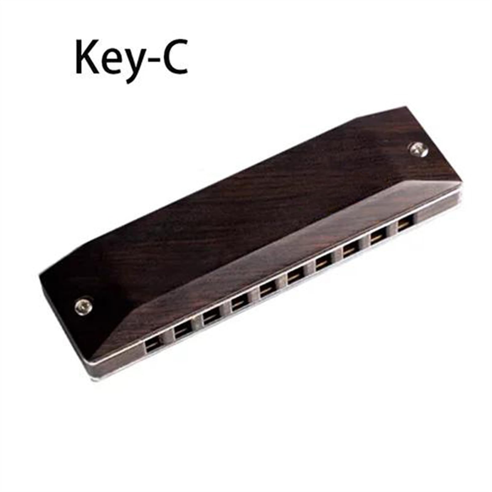 Diatoniczna harmonijka ustna 10 otworów Blues Harp Professional Armonica Instrumentos Instrumenty muzyczne(Blk-C)