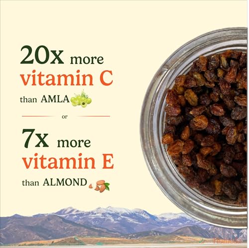 Image of Homeda Sea Buckthorn Berry Dry (500g) Organic Seabuckthorn Berries Original Dried - With Vitamins, Antioxidants, Omega 3 6 7 & 9 | Himalyan See Buck Thorn Plant | Pure Leh Seabuck Berry