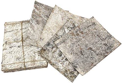Steingaesser 80299 02 1400 Birch Bark Sheets Pack of 10, Wood 30 x 23 x 5 cm, White