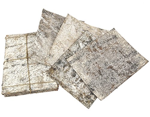 Steingaesser 80299 02 1400 Birch Bark Sheets Pack of 10, Wood 30 x 23 x 5 cm, White