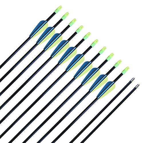 CQ Archery Practice Fiberglass Arrows 28inch Recurve Bow Arrows for Beginners or Kids Youth Arrows for Bow(12pcs)