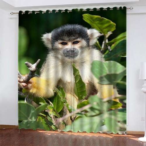 KaiHeBeding Cortinas Dormitorio Animal Cortinas Salon Mono Ardilla, Cortina con Ojal para Decorar de la Oficina en el Hogar 2 Piezas 140An x 160Al, Protección de la Intimidad Protección Solar