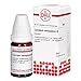 Produktbild LYCOPUS EUROPAEUS URT, 20 ml