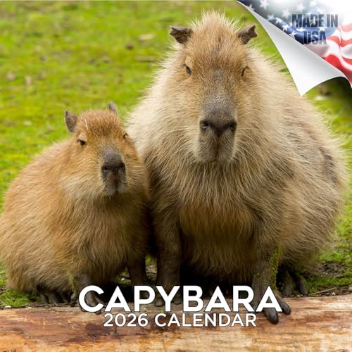 2026 Capybara Monthly Wall Calendar - Wildlife Calendar - 12 x 24 Open - Thick No-Bleed Paper - Giftable - Academic Teacher's Planner Calendar Organizing & Planning Calendar