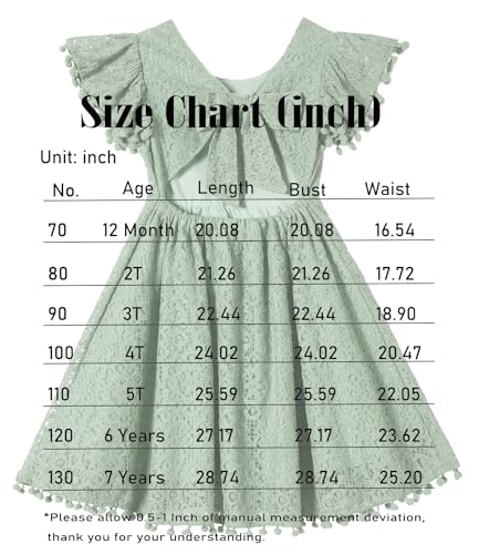 Toddler Girls Lace Dress Baby Kids Tie Back Bow Pom Pom Ruffle Sleeve Backless Party Princess Dresses3