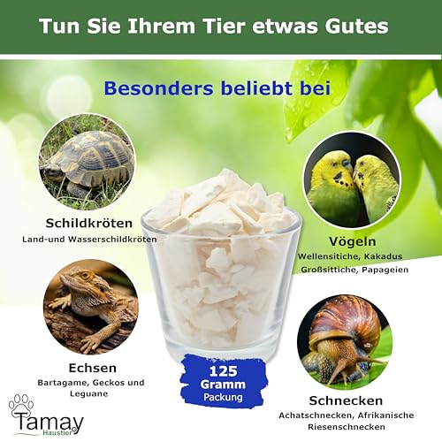Tamay Sepiaschalen Bruch in Premium Qualität (125g) Optimale Kalzium und Vitaminversorgung für Schildkröten, Bartagame, Geckos, Reptilien - Futterkalk, Kalk, Terrarium Zubehör