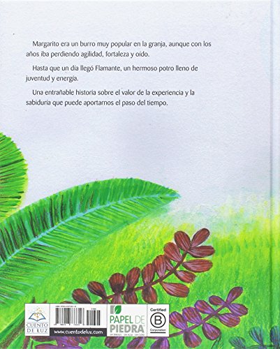 Margarito (Daisy)