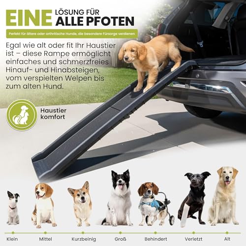 all Pets United® Hunderampe klappbar Hundetreppe Hunde- & Katzentreppe Rampe Einstiegshilfe für Kofferraum Haustiertreppe für Große & Kleine Tiere (Hunderampe)