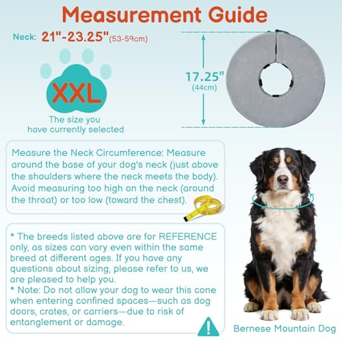 Image of Dog Cone, No-Inflation Sponge Donut Collar for Dogs After Surgery