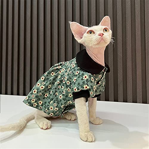 Robe pour chat sans poils Sphinx protégeant la peau sensible des grands félins