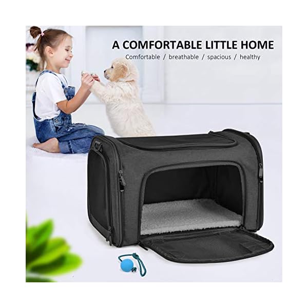 Collapsible Travel Puppy Carrier