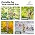 Kingsyard Metal Bird Feeders for Outdoors Hanging, Tube Bird Feeder with 6 Feeding Ports, 15 Inch, Chew-Proof & Weatherproof, Green