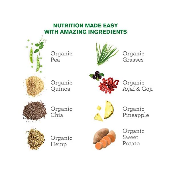 Amazing-Grass-Protein-Superfood-Vegan-Protein-Powder-All-in-One-Nutrition-Shake-Rich-Chocolate-18-Servings Amazing Grass Vegan Protein Superfood, All in One Nutrition Shake with Beet Root Powder, Rich Chocolate, 22.9 Oz