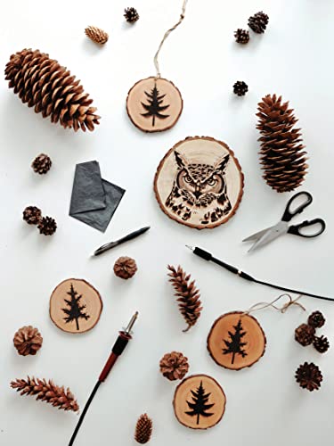 Woodburning Workshop: Essential Techniques & Creative Projects For Beginners #TOP5