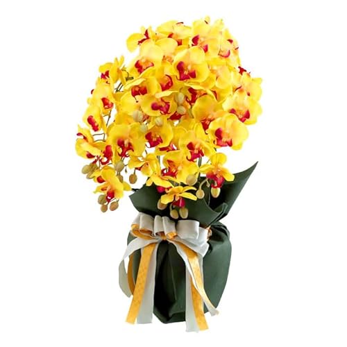 Rv  ؃bsOt VNt[̌Ӓ CG[ 7{  CTG}H(LEhp) JXj Mtg