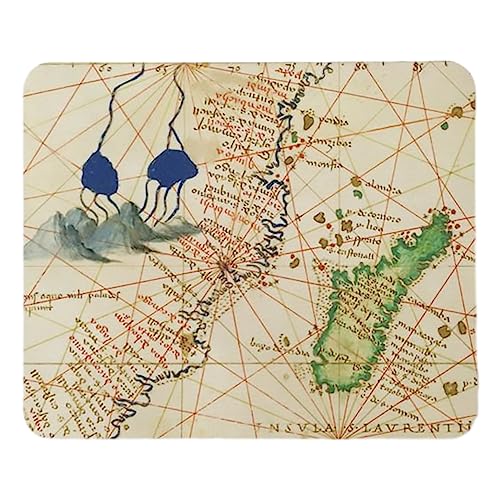 FaceYee Tapis de souris carte de Madagascar accessoires de bureau inspirants 240 x 200 x 4 mm Couleur : carte de Madagascar