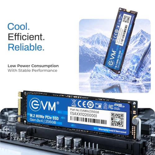 EVM Store EVM 256GB NVMe Gen 3x4 Internal SSD (2280) - Image 6