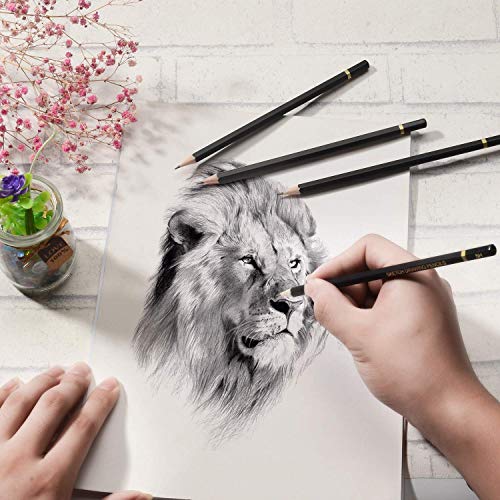 Sketching Pencil Set - 24 Pieces Drawing Sketch Pencil Hb,B,2B,3B,4B,5B,6B,7B,8B,10B,12B,14B,H,2H,3H,4H,5H,6H,7H, Includes Charcoal, Eraser, Graphite Pencils For Beginners & Pro Artists #TOP6