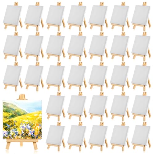 32 Pcs Mini Canvas with Easels for Painting