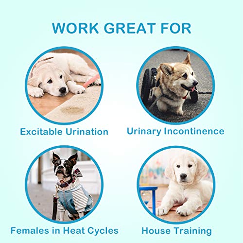 Disposable Dog Diapers For Female Dogs - Dono Jeans Super Absorbent Soft Pet Diapers For Female Puppy Dogs, Including 24Pcs Diapers #TOP5