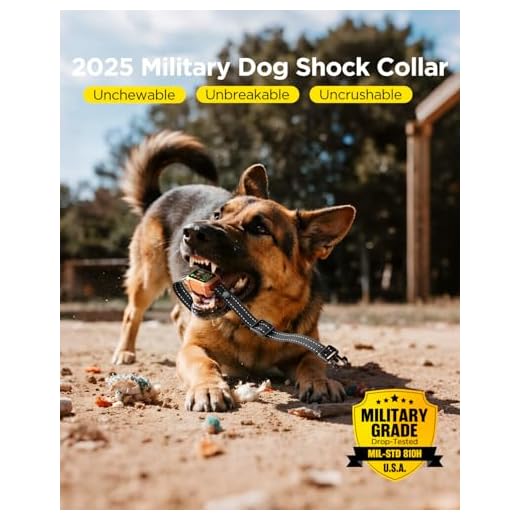 BLACKDOG 4200ft Dog Training Shock Collar