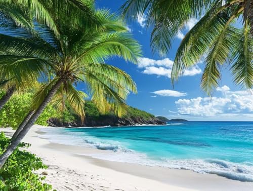 Pintar por numeros adultos regalos originales para hombre lienzo de playa grande 90x120cm