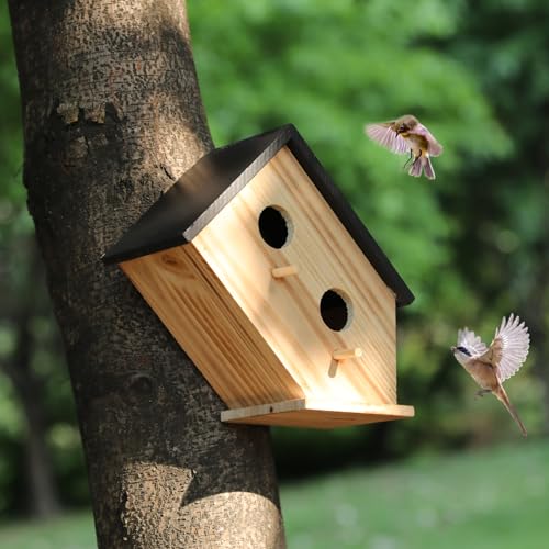Bird House for Outside-Wren Bird House for Outdoor-Wooden Birdhouse for Outdoors Hanging Bluebird House for Cardinals for Garden Viewing -2 Hole (Wooden, 1)