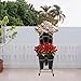 Ediess1nDT 3-Tiers Flower Display Stand with Plastic 6 Black Buckets Movable Bouquet Shelf Flower Rack Home Flower Shop Metal Moving Gold Plant Stand Cart Shelf with Wheels