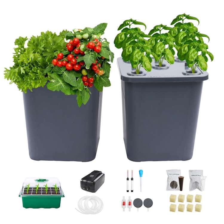 Find The Best Hydroponic System For Tomatoes Reviews & Comparison Katynel