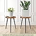 Indoor Plant Stand with Metal Legs, 16