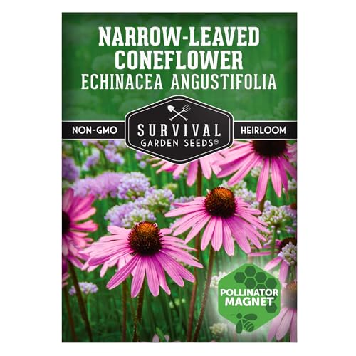 Survival Garden Seeds - Narrow-Leaved Coneflower Seeds for Planting | Echinacea angustifolia | Drought-Tolerant Medicinal | Native Prairie Plant - 1 Pack