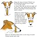 AMATHINGS Maulkorb Model Super Kennel Soft mit wattiertem Nasenstück Trinken Immer Möglich Ideal Für Freilauf, Hundewiese, Kennel, Zwinger, Rennen (Gold)