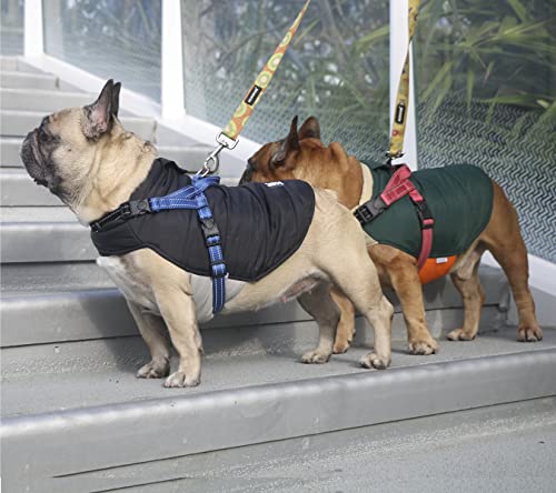Ichoue French Bulldog Frenchie Winter Coats Dog Jackets Cotton Padded Vests For Pug English Boston Terrier Pitbull - Black/Large #TOP3