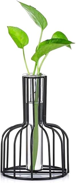 N A Glass Flower Vases with Metal Frame, Small Test Tube Vase for Hydroponic Plant for Indoor Office Room Decor Coffee Table Centrepiece, Black